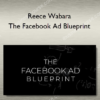 Reece Wabara – The Facebook Ad Blueprint