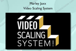 Video Scaling System