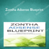 Zontha Adsense Blueprint