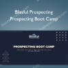 Blissful Prospecting - Prospecting Boot Camp