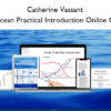 Blue Ocean Practical Introduction Online Course - Catherine Vassant