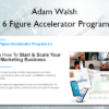 The 6 Figure Accelerator Program 2.0