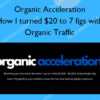 Organic Acceleration – How I turned $20 to 7 figs with Organic Traffic