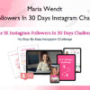 1K Followers In 30 Days Instagram Challenge – Maria Wendt