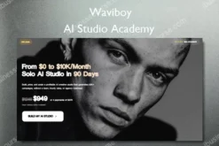 AI Studio Academy – Waviboy